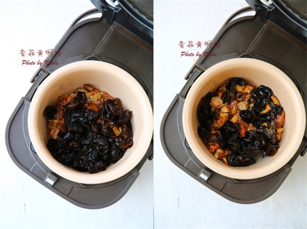 香菇黃燜雞